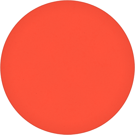 Dayglo Tiger clay poker chip